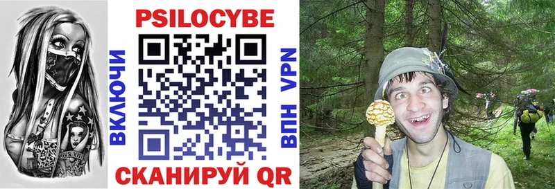 Псилоцибиновые грибы Magic Shrooms  цены   мега tor  Тында 
