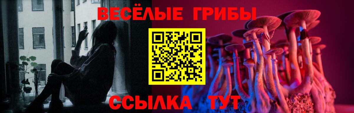 Псилоцибиновые грибы Magic Shrooms Тында